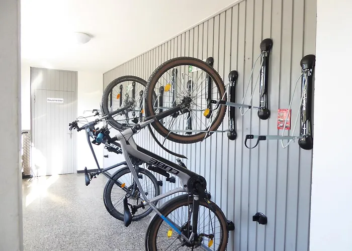 Greenflair 5 Pers Pool Sauna Wifi Near Lift